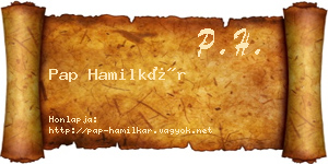 Pap Hamilkár névjegykártya